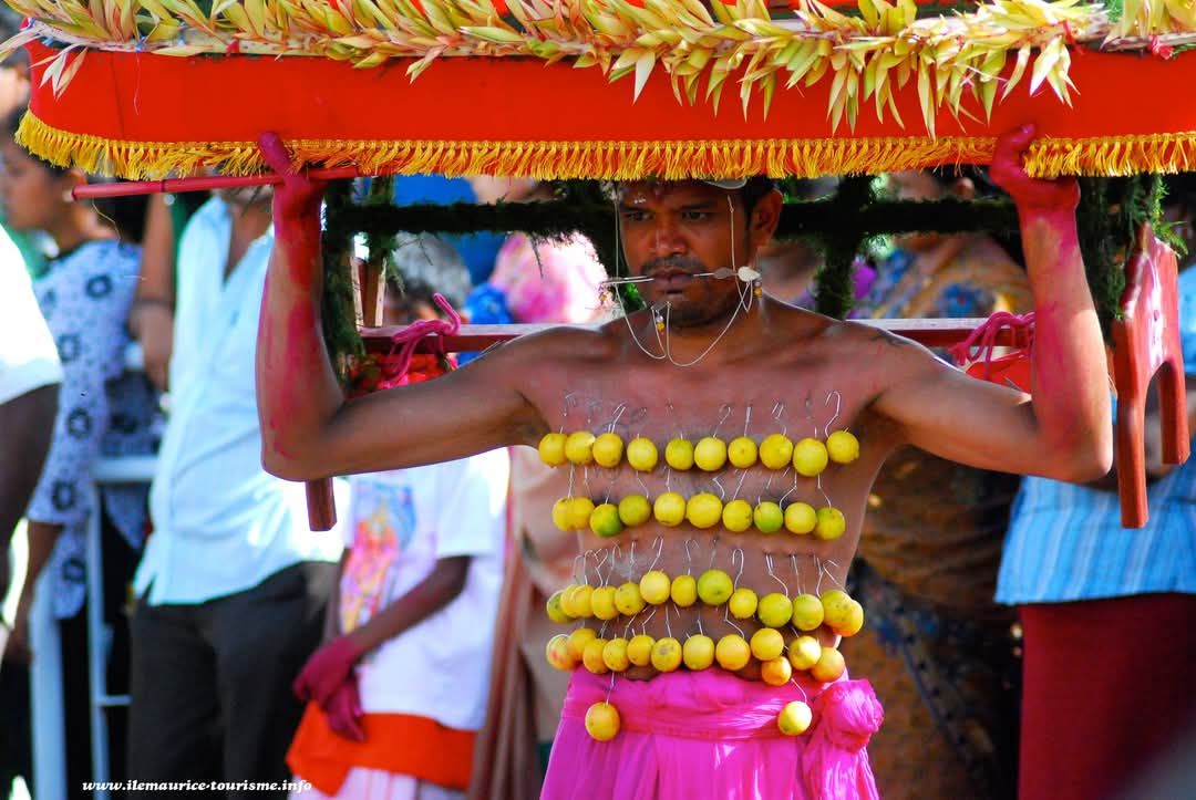 Thaipoosam Cavadee à Maurice : Une célébration de dévotion et de sacrifice